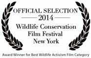 Photo - award best wildlife activism film