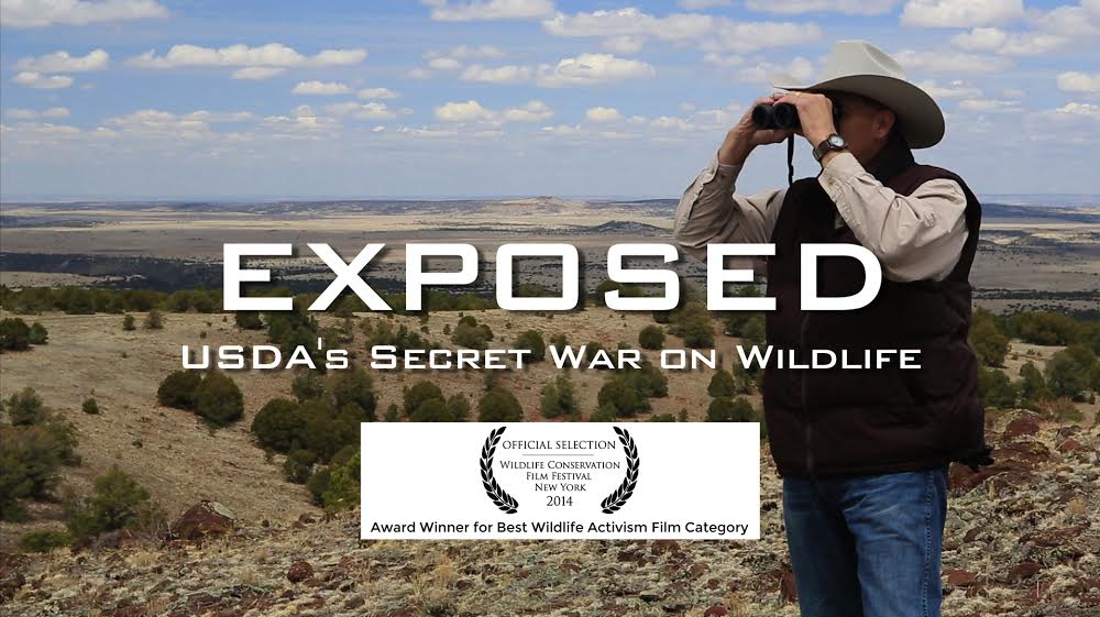 Photo link to film EXPOSED: USDA's Secret War on Wildlife
