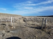 Photo of unmarked gate at entrance to public land